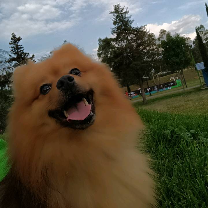 elizabethhernande127