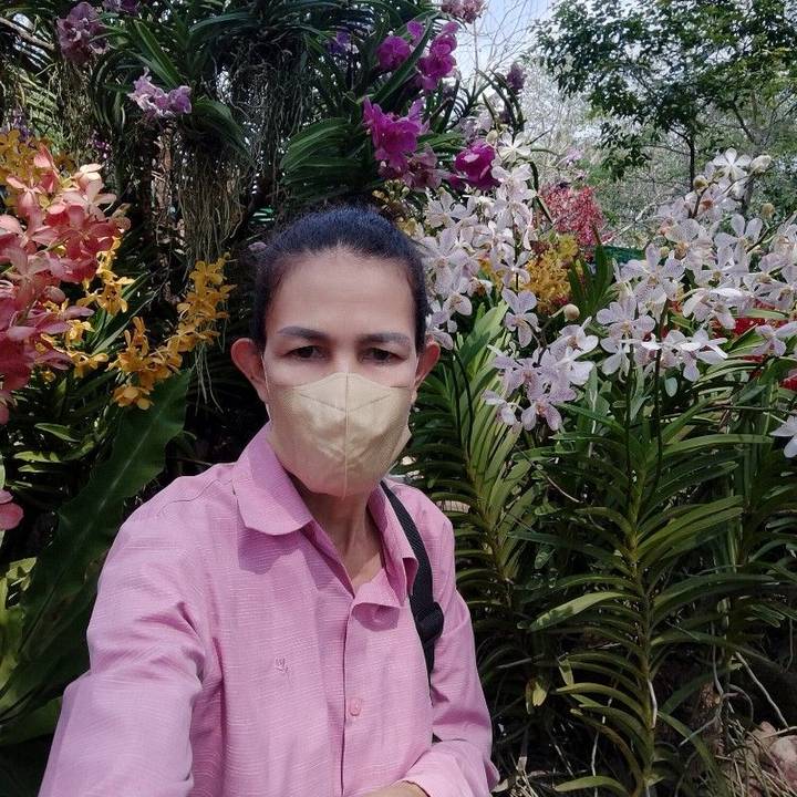 yaininเรียกทรัพย์