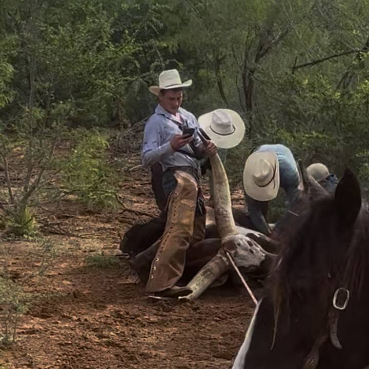 😮‍💨Worthy🫣