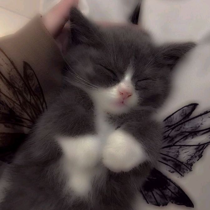 ʚ♡⃛ɞ(ू•ᴗ•ू❁)