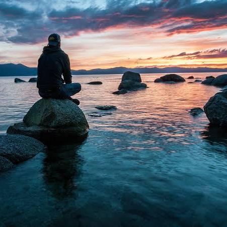 🌴🍀 Green Diary ☘️🎋