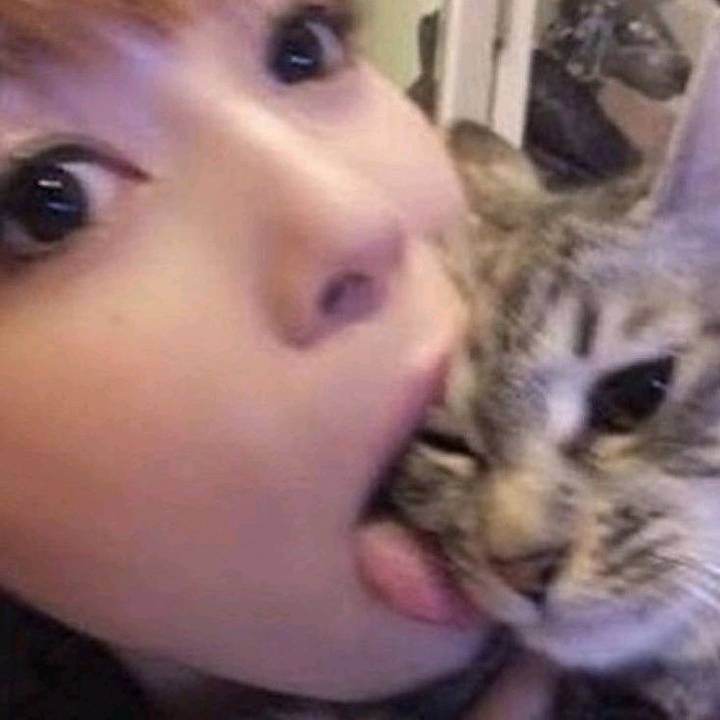 𐔌՞ ܸ.ˬ.ܸ ՞𐦯