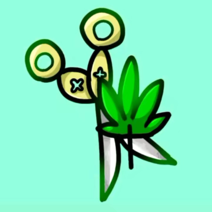 おはスイカ🍃🍉