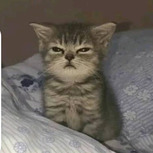 Angel_ fan de coquito