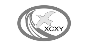 XCXY