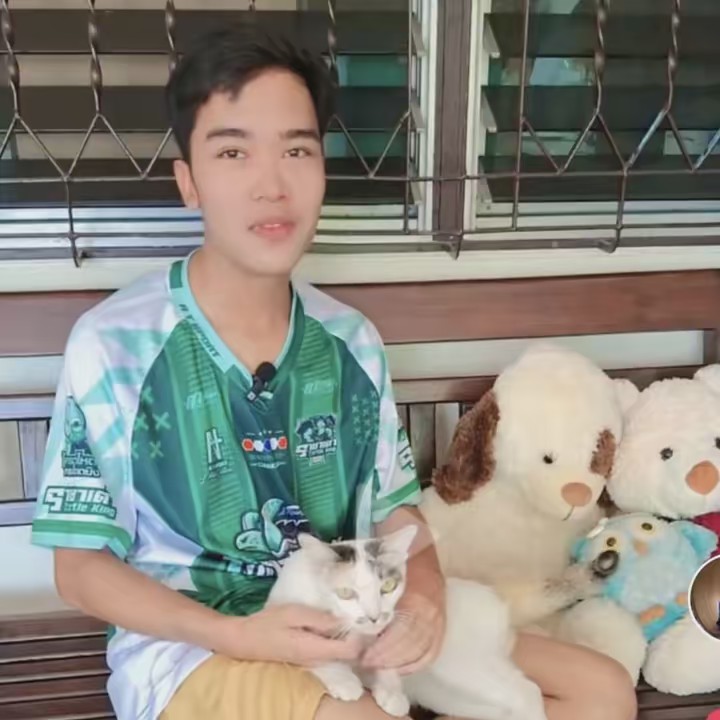 พิชา พารีวิว