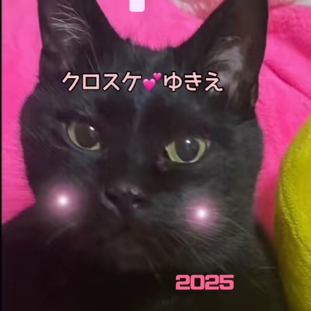 ゆきえ (⁎‾ ❥ ‾⁎）