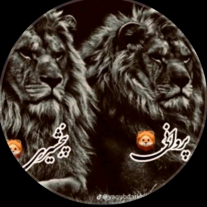 پروانی 💚🕊️🖤🦁