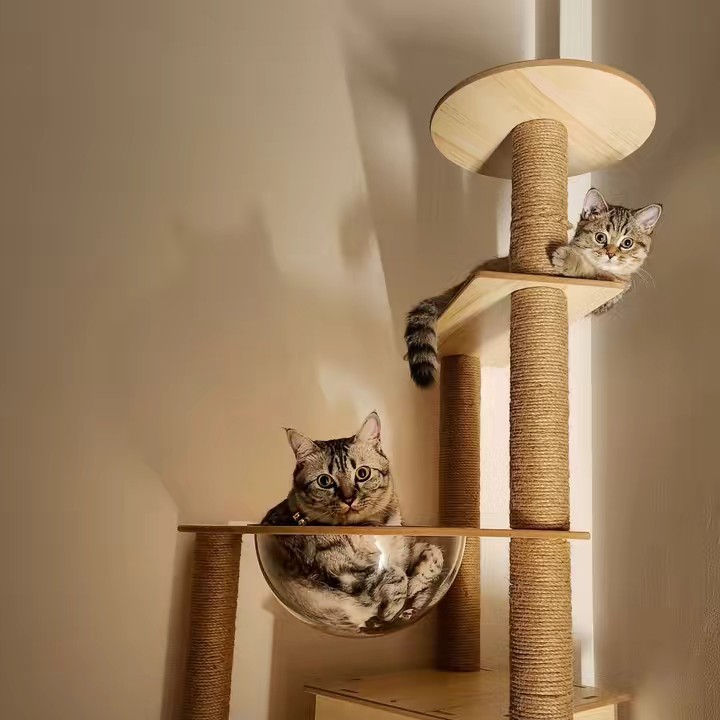 พี่พะโล้กับน้องพะแนง