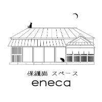 保護猫スペース　eneca