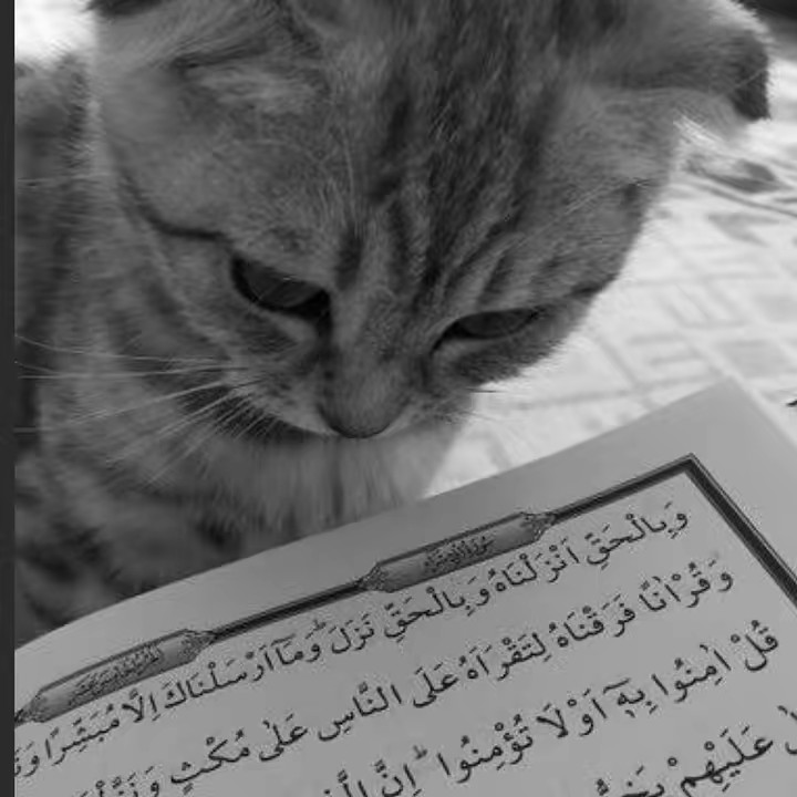 Islamic reminder 🤍🕌