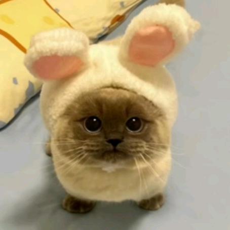 ⠀ ⠀ ⠀ ⠀ ⠀ ⠀