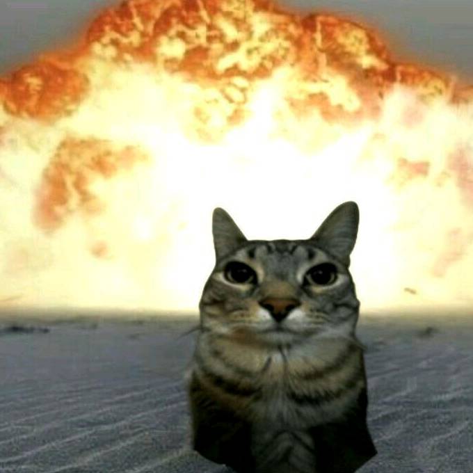 𝕹𝖊𝖛𝖎ꨄ︎