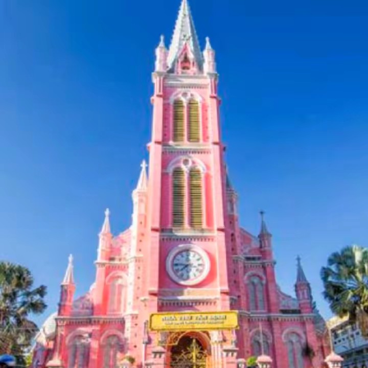 ワンワン　🌻🐕‍🦺🐕🦮🌻🦉🦉