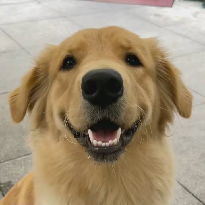 Golden fam