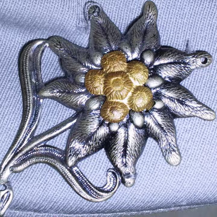 DerGebirgsScharfschütze