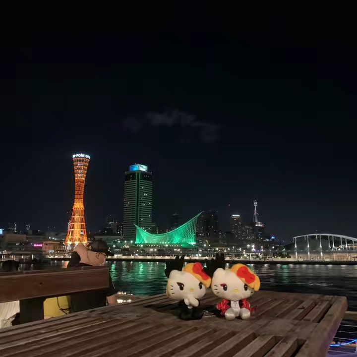 🐾🌾レオパードキング(daichan)🐆👑