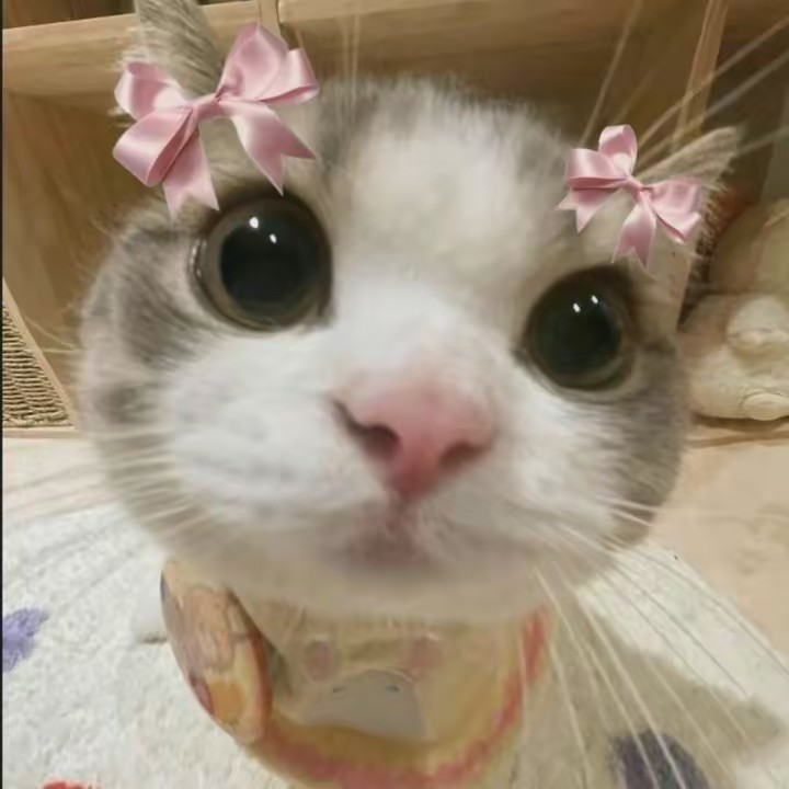 ✨debochado ✨🌇