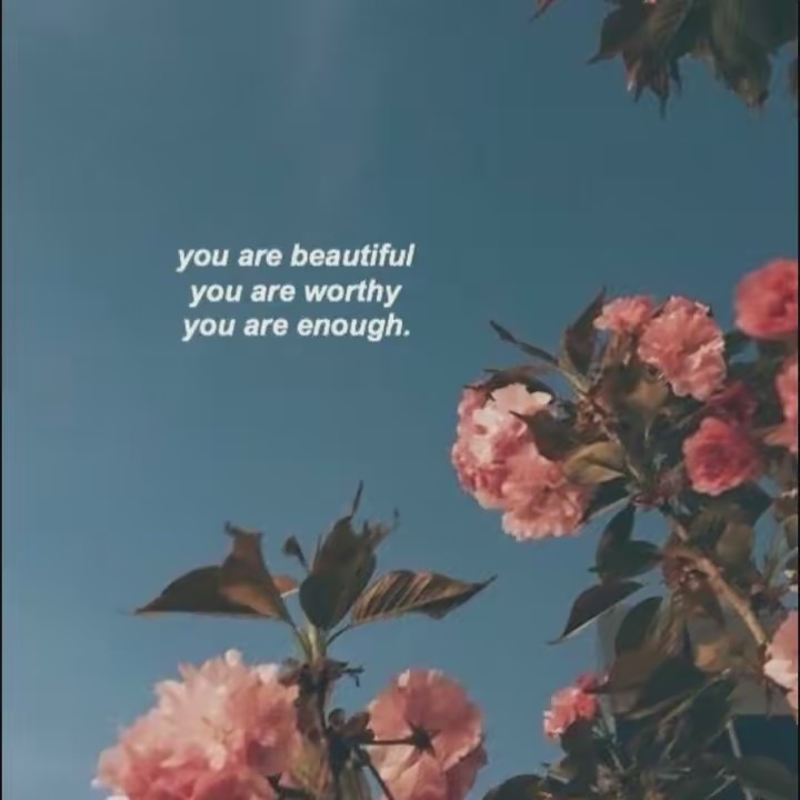 🧸✨ʜᴇʟʟᴏ🧸✨