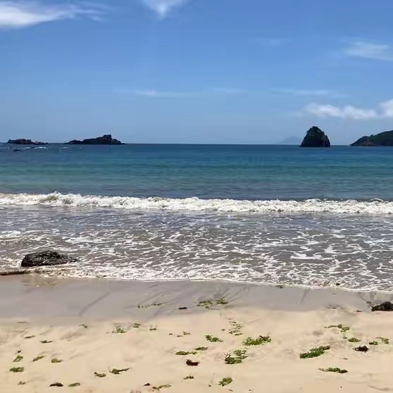 KANDEL🇯🇵गजेन्द्रカンデル