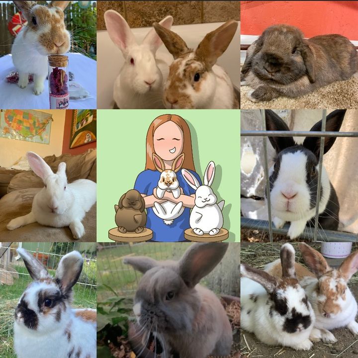 Clover Louie and Bear