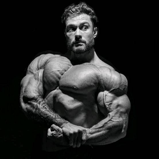 Modern Fitness Factory