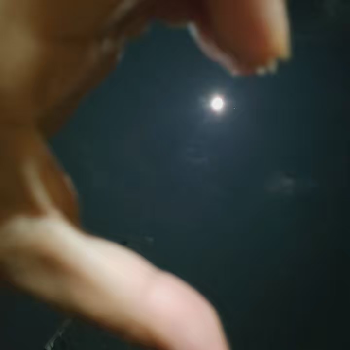 Beautiful moon🌜🌝🌝🥰😊