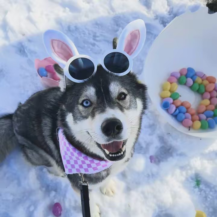 Wayahs Got the Wiggles