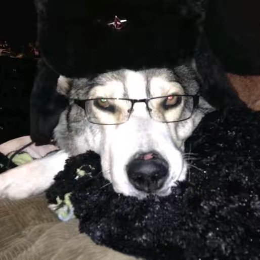 ♤☆DorianEmanuel☆♤