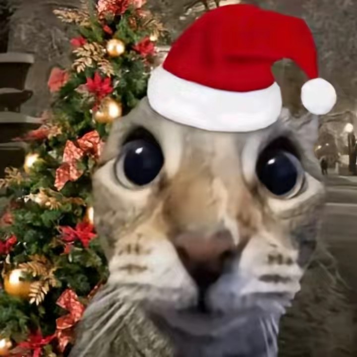 🏳️‍🌈🫷 🇩🇪 🫸🏳️‍🌈