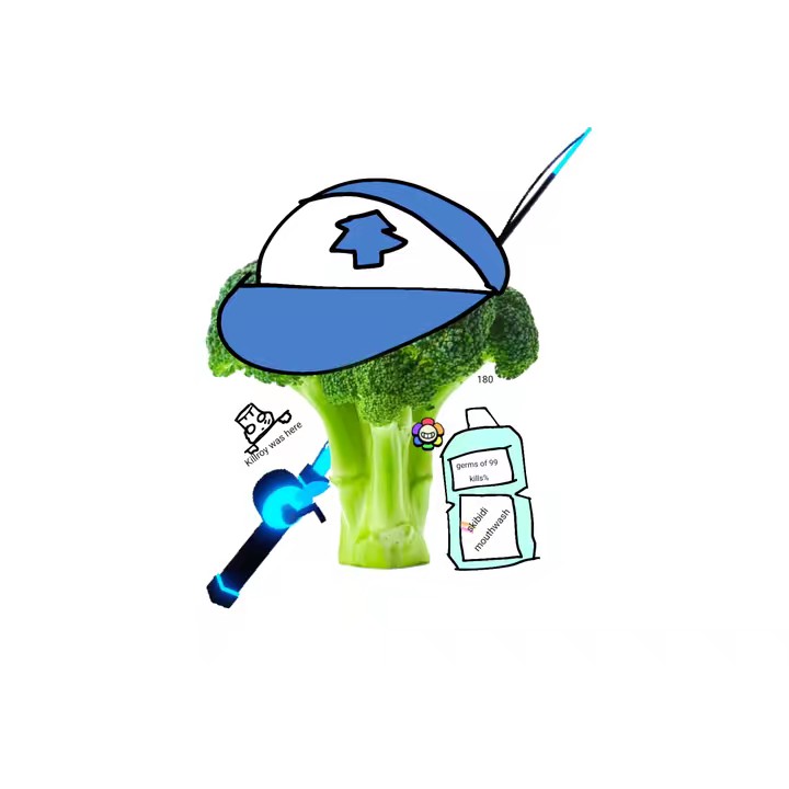 broccoli |CEO OF MOONBERRYCAKE