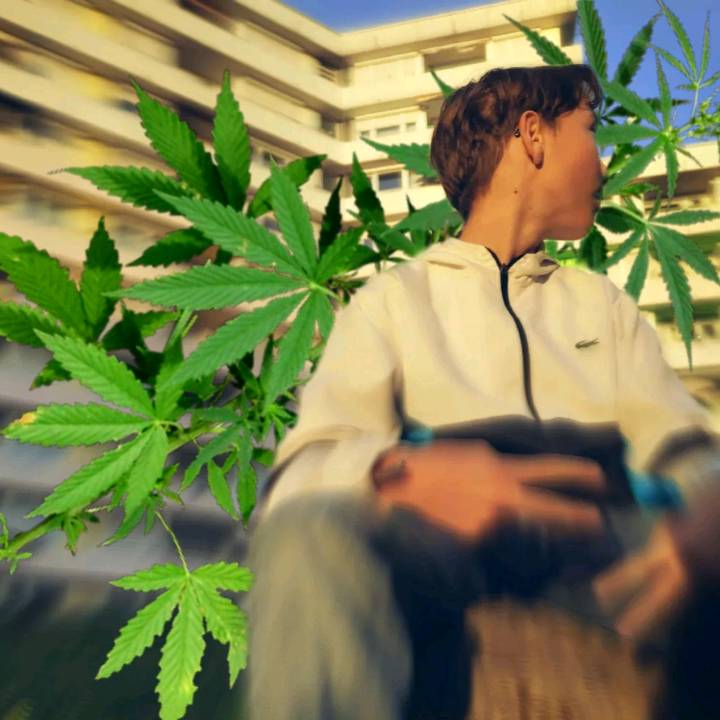 ⚜️Serjan101⚜️