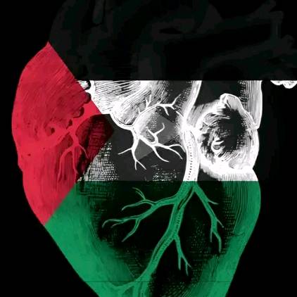 🇵🇸🤲Mohammed Gaza