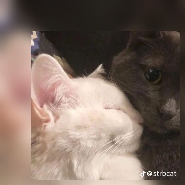 😍Yohana💙🌺✨