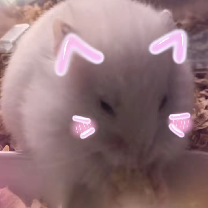 もなᩚ😈🦄💜