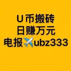 U币搬砖 日赚万元 TG看头像 QQ :104444733