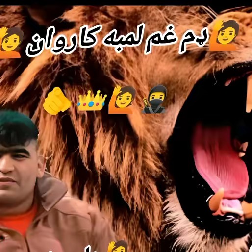 🦅تنها 🥀ننگرهاری🦅