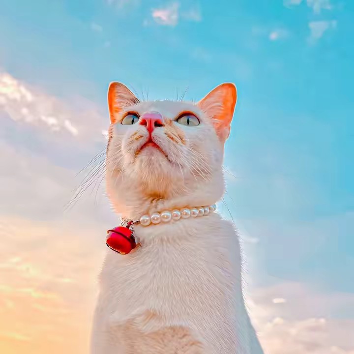 ดาวพระศุกร์ ⭐️