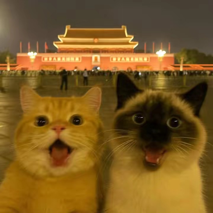 ตู๋ตี๋ไม่กินเนื้อ