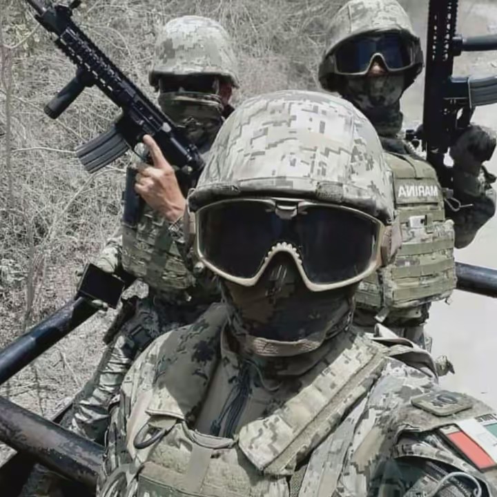 Infantería De Marina