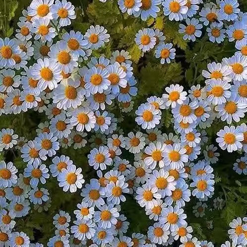 Wine (ไวม์ )✌✌😘