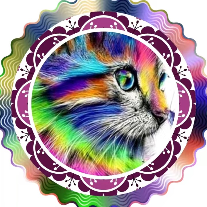 🥀komorin🐈‍⬛🐇