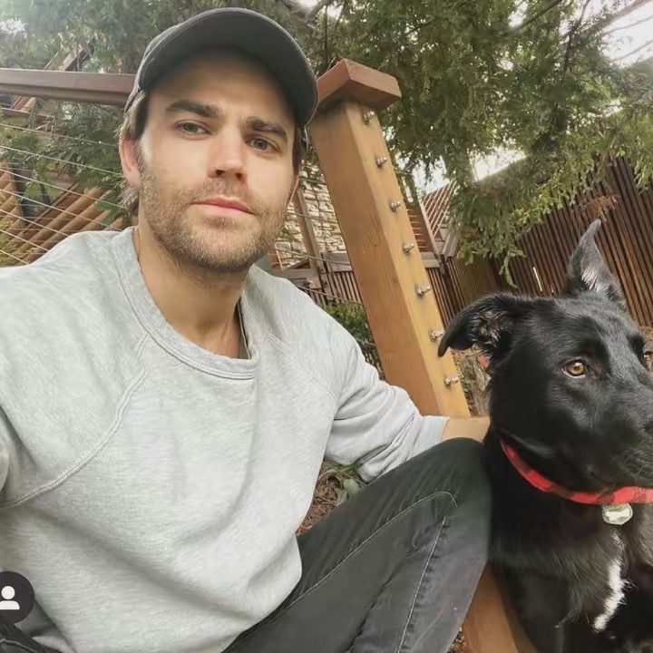 Paul Wesley