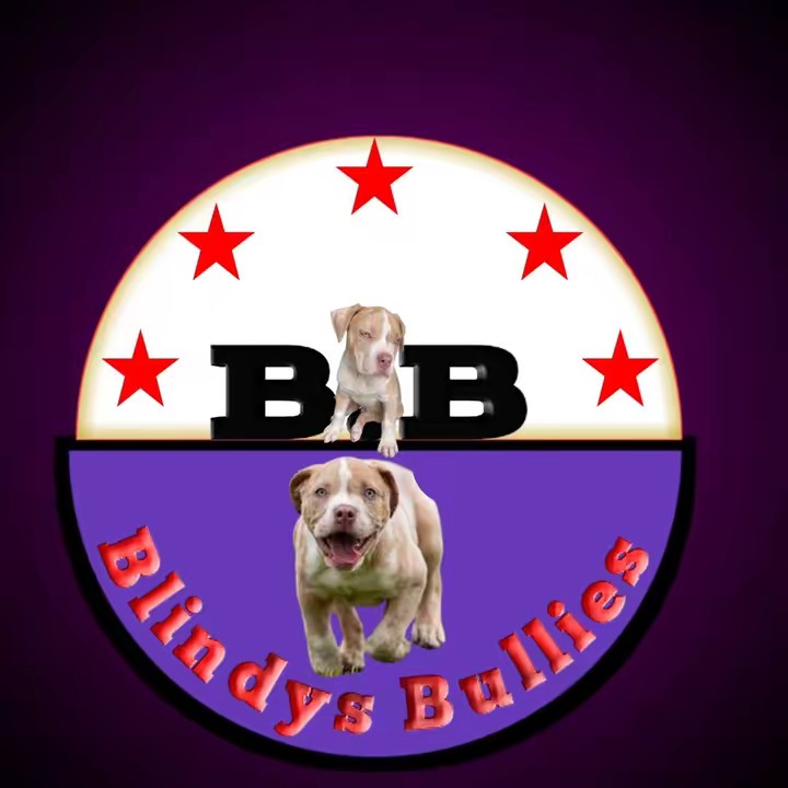 Blindys Bullies