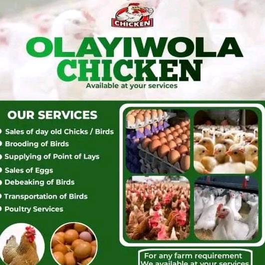 olayiwola