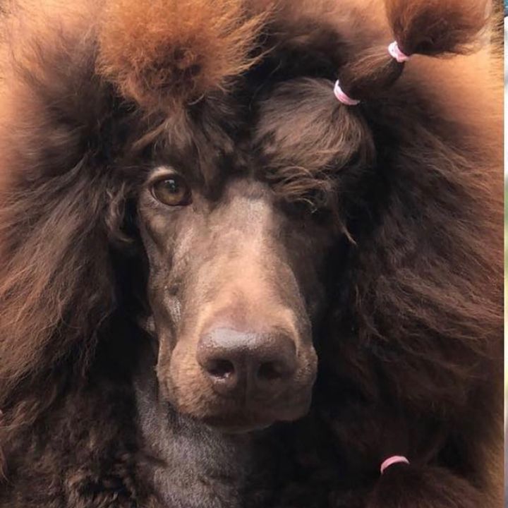 Tawnya Marie Patters