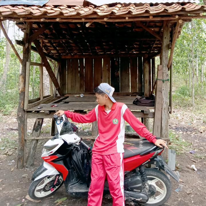 {ZEUS}................