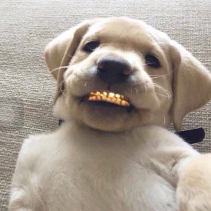 The Asthmatic friend