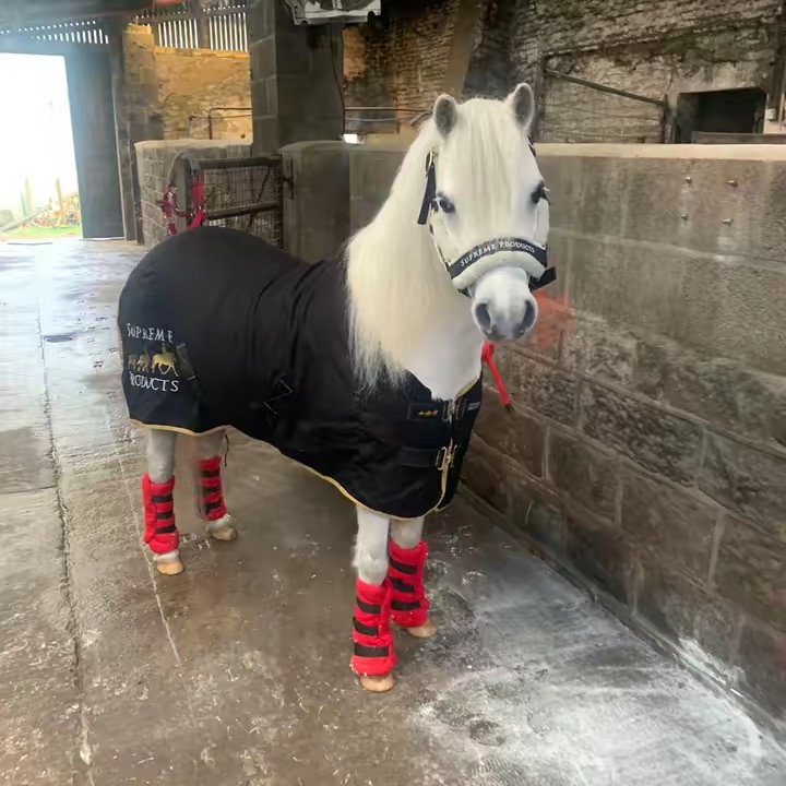 Kel💖RubenPony🫶