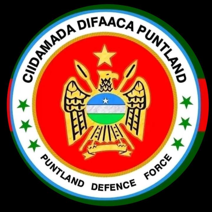 bashkakhadar 🦅 👁️ 🇺🇸 612